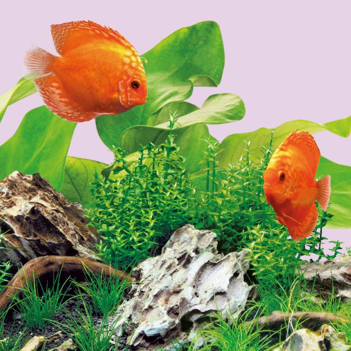 Image du produit Juwel Aquarium Couleur des LED (LED, 14 W)