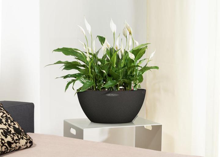 Produktbild Lechuza Cubeto 40 (40 cm)