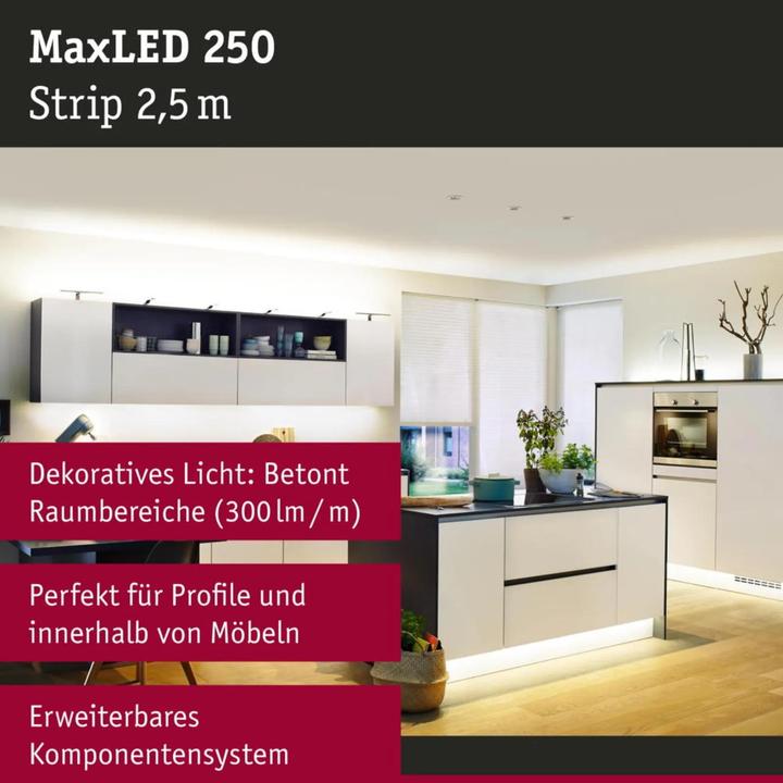 Immagine prodotto Paulmann MaxLED 250 Strisce (Bianco caldo, 250 cm, Interno)