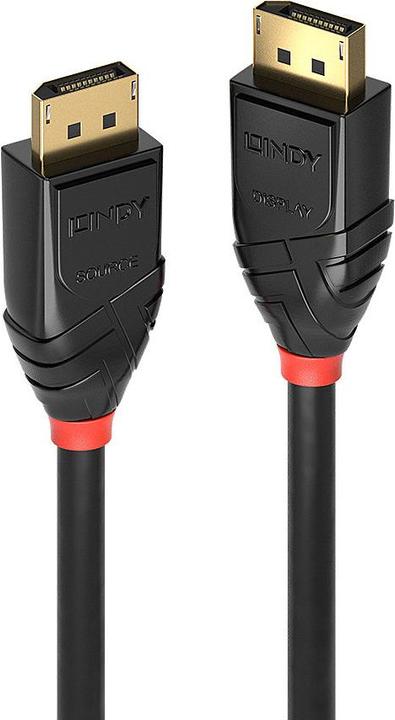 Actual product image Lindy DisplayPort — DisplayPort (100 m, DisplayPort)
