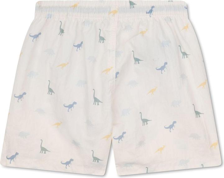 Swim Essentials Badehose