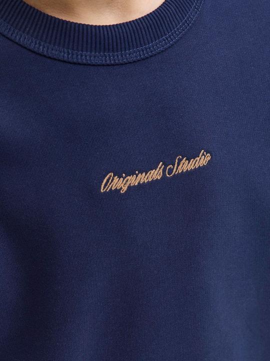 Actual product image Jack & Jones Jornorrebro Emb Sweat Crew Noos Jnr (176)
