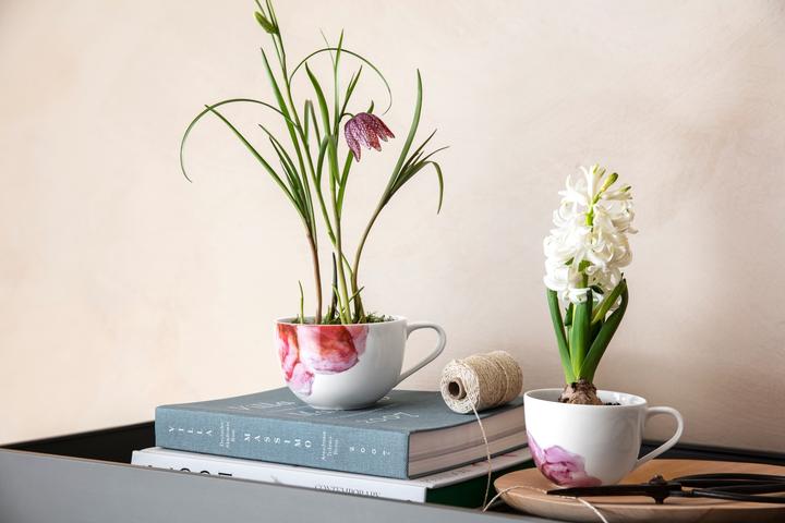 Produktbild Villeroy & Boch Kaffeeobertasse Rose Garden (160 ml, 1 x)