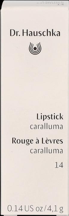 Produktbild Dr. Hauschka Lipstick 14 caralluma 4.1 g (14 Caralluma)