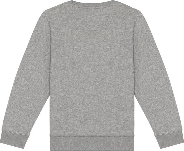 Native Spirit Sweatshirt