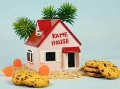 Actual product image ABYstyle Dragon Ball Hero Biscottiera Cookie Jar kame House