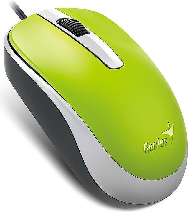 Genius KYE 310105110 Optical Mouse with Cable DX-120, Green (Cable)