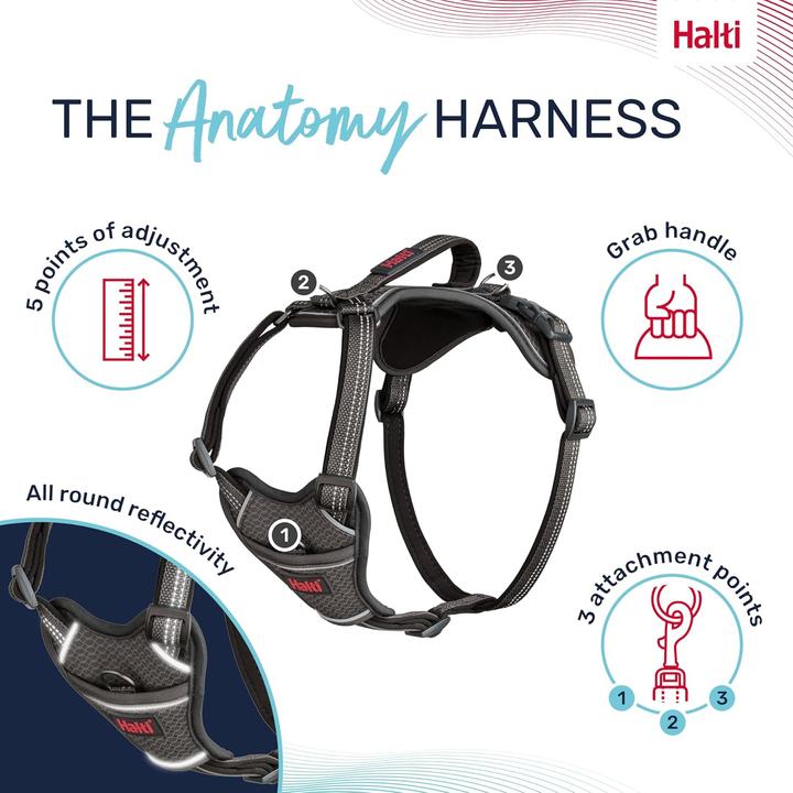 Actual product image Company of Animals Halti Anatomy XS dog harness (XS, Dog)