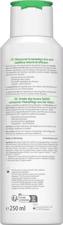 Image du produit Lavera Shampooing Fraîcheur & Équilibre cheveux gras Fl 250 ml (250 ml, Shampoing liquide)
