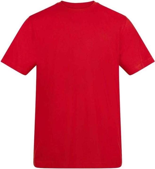 Awdis TShirt (XL)