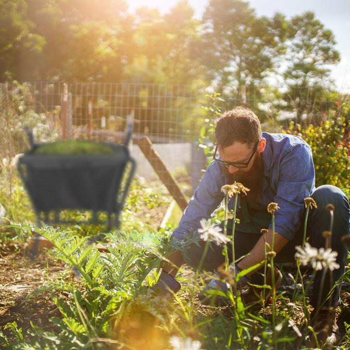 Image du produit Relaxdays Brouette-de-jardin