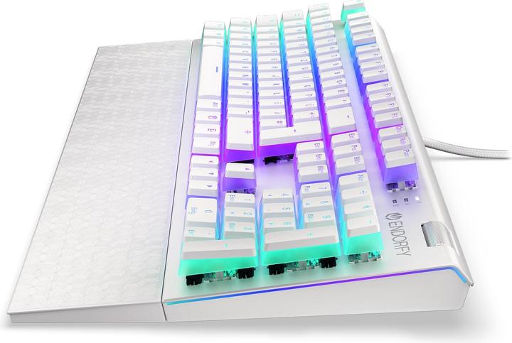Actual product image Endorfy Keyboard Omnis (DE, Cable)