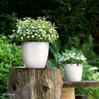 Actual product image Lechuza Classico Color (21.50 cm)