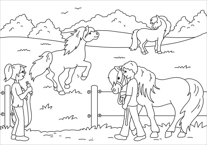Image du produit Tessloff Mon plus beau livre de coloriage. Cour de poney