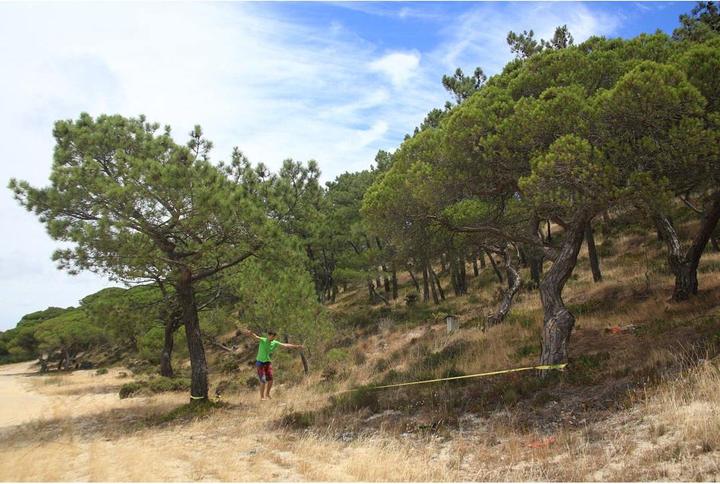 Actual product image Neutral Slackline, HQ Inspiration - 390250 (15 m)