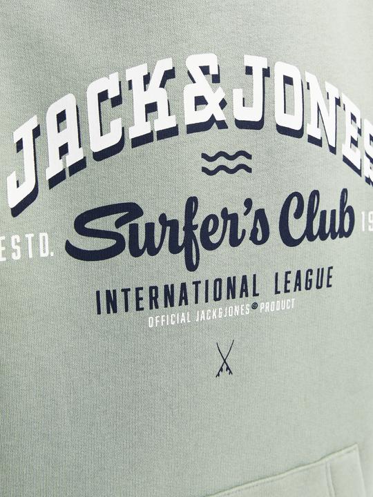 Actual product image Jack & Jones JJELOGO SWEAT HOOD 2 COL 24/25 NOOS JNR (164)