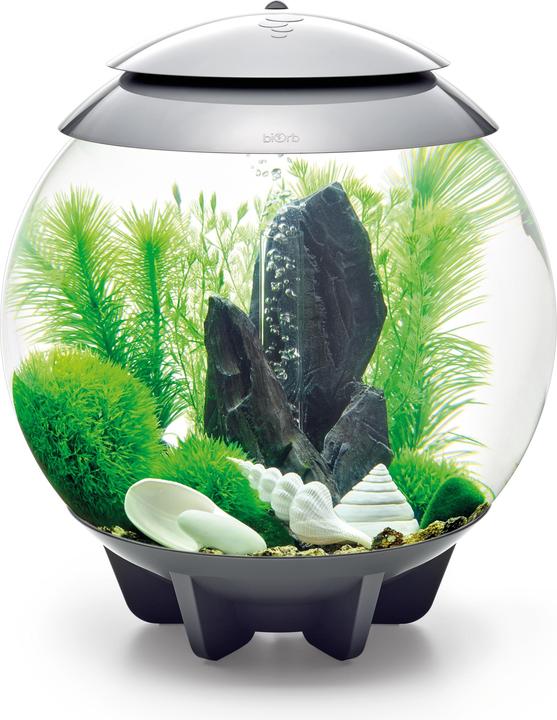 Actual product image Oase biOrb Aquarium 30 Decor Set (Embellishment, other buildings)