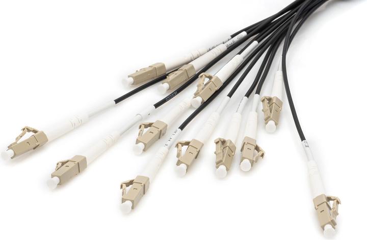 Produktbild Digitus Vorkonfektionierte Glasfaser Universal Breakout Kabel, Multimode OM4, 12 Fasern, LC/UPC - LC/UPC (LSOH, CAT6, 75 m)
