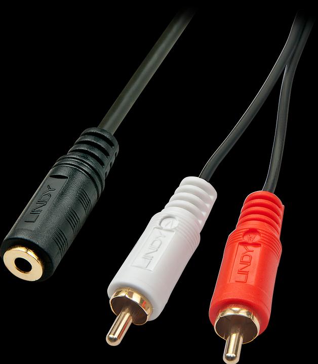 Audio-Adapterkabel mit 2x RCA an 3,5mm Klinkenstecker (0.25 m, 3.5mm Klinke (AUX), Cinch)