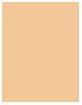 Produktbild Alcina Perfect Cover (Ultralight)