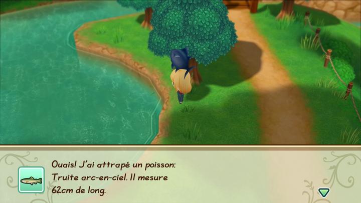 Produktbild Marvelous Story of Seasons : Friends of Mineral Town (Switch, FR)