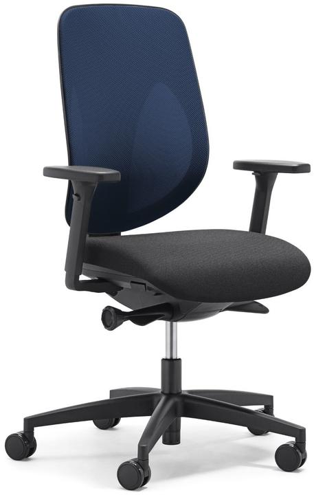 Immagine prodotto Giroflex Comfort III