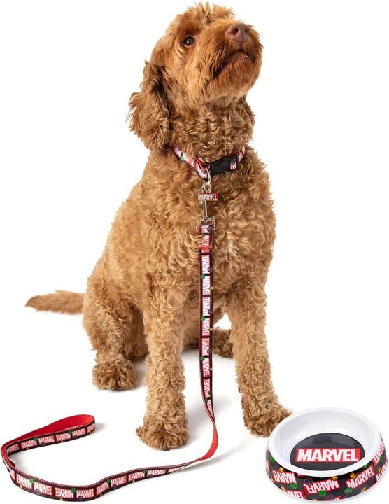 Image du produit Coffret cadeau (S, Chien, Général)