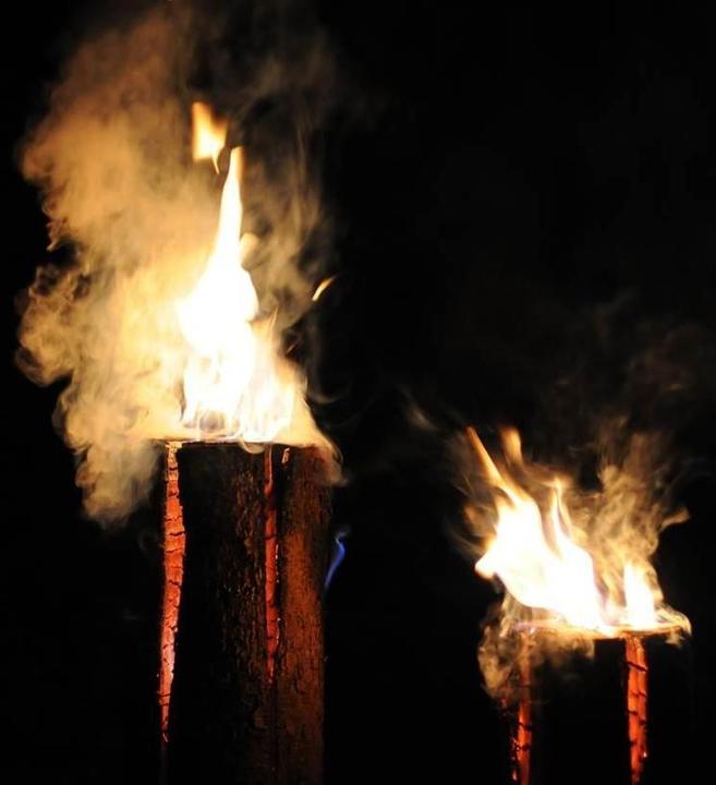Actual product image DIY-Wood Swedish fire log