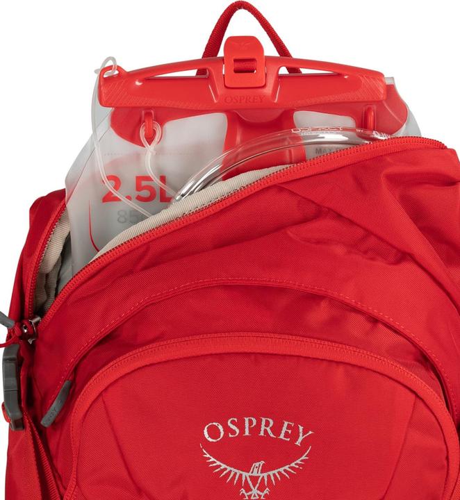 Actual product image Osprey Backpack Siskin 12L 2024 (12 l)