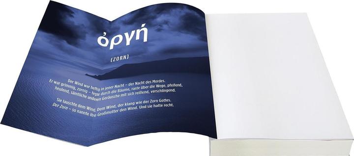 Actual product image Die Insel des Zorns (German, Alex Michaelides, 2024)