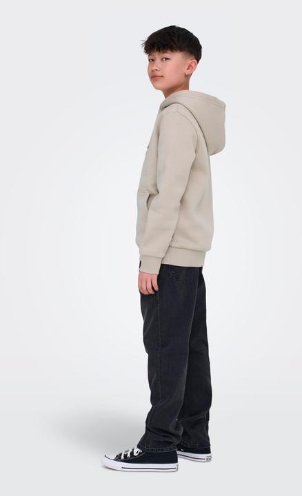 Immagine prodotto Only & Sons Junior Osjceres Reg Vintage Print Hood Swt Noos (170)