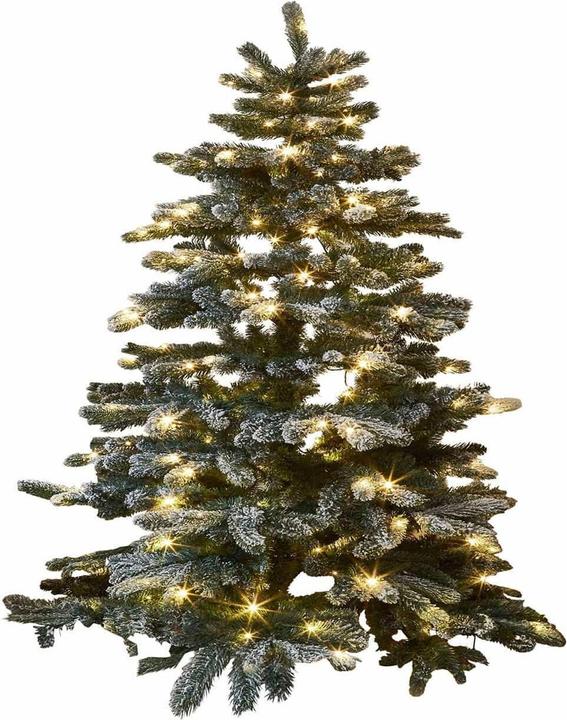 Loberon Weihnachtsbaum Mannier grün/weiss (90 cm)