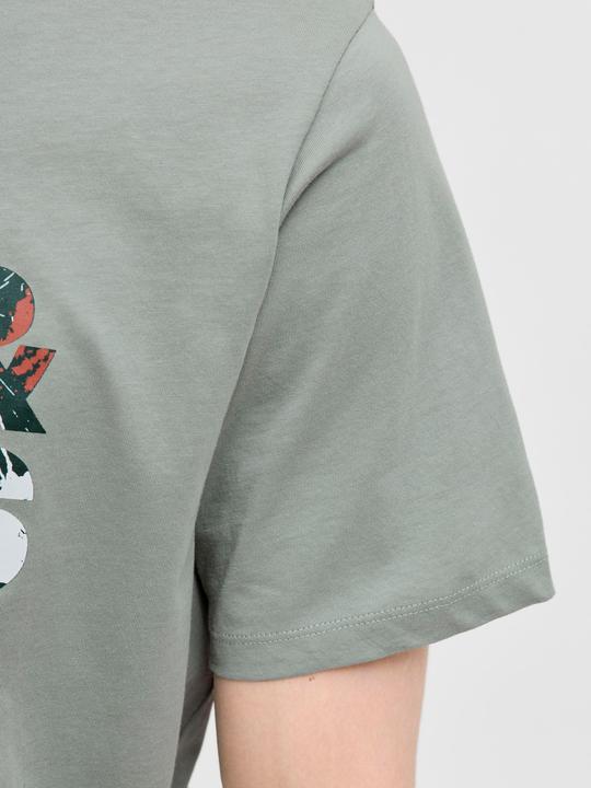 Actual product image Jack & Jones Jjgeplas Tee Ss Crew Neck Ln (M)