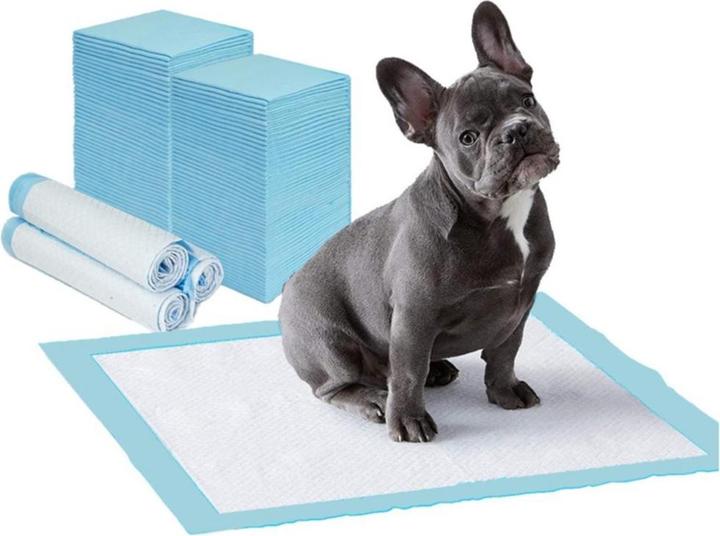 Produktbild Esmée Hygienematte (Hund)