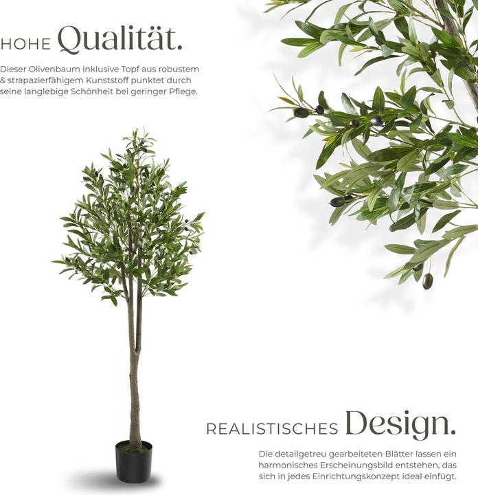 Immagine prodotto tectake Olivenbaum Oleand (150 cm)