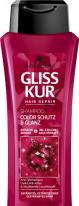Actual product image Schwarzkopf Gliss Kur Shampoo color & gloss, 250ml bottle (250 ml, Liquid shampoo)
