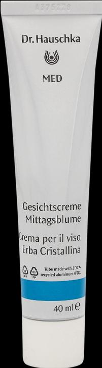 Actual product image Dr. Hauschka MED - Face Cream Ice Plant (40 ml, Day cream)