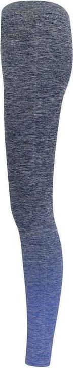 Actual product image Tombo Womens/Ladies Seamless Fade Out Leggings (S, M)