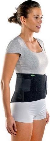 BraceID Contoured Back Support