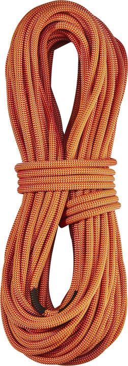 Edelrid Heron Pro Dry Rope 9,8mm 50m (50 m)