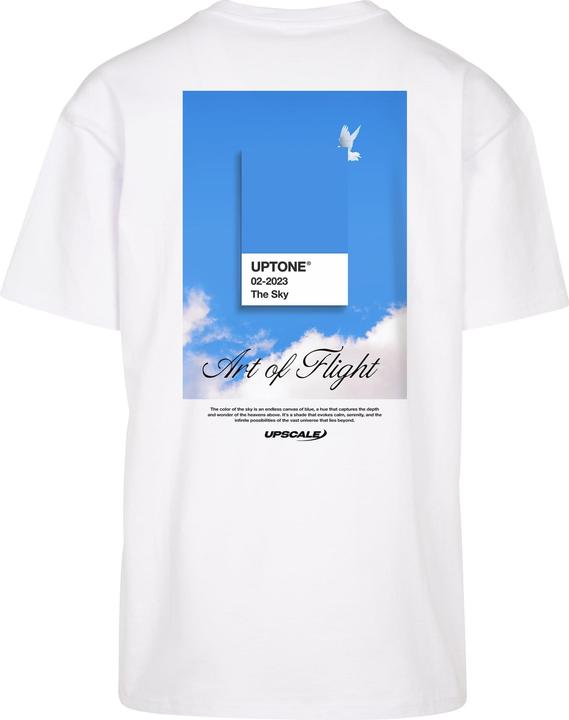 Actual product image Urban Classics Upscale Uptone Oversize Tee - 195195 (XS)