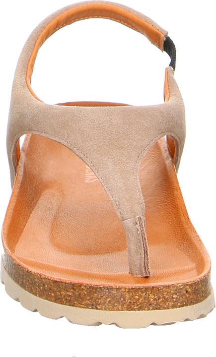 Actual product image Verbenas REAGAN Piedra (38)