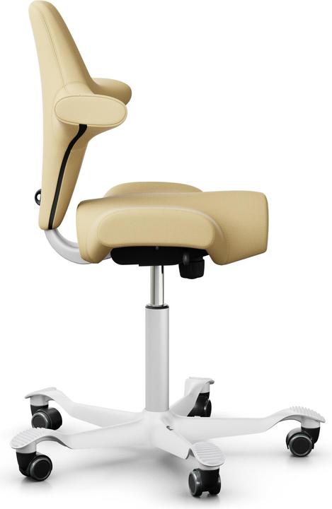 Actual product image HAG Capisco 8106 PATINA