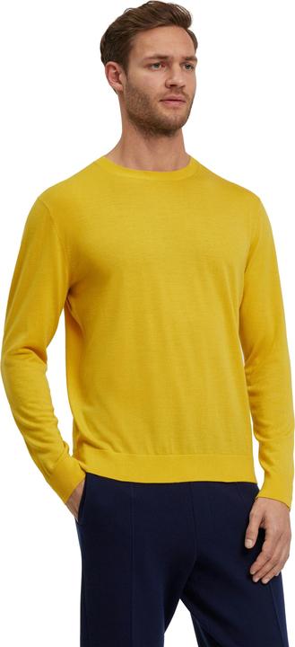 Immagine prodotto Falke Herren Pullover (XL)