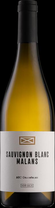 Actual product image Von Salis Malans Sauvignon Blanc (1 x 75 cl, 2017)