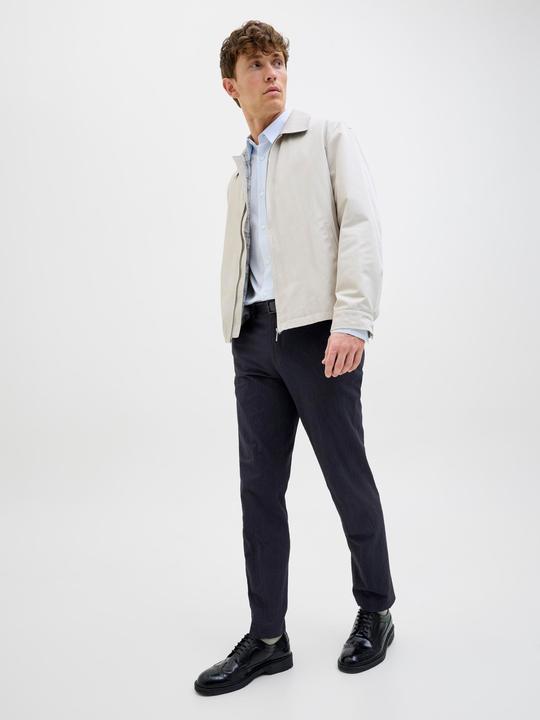 Produktbild Jack & Jones Jprstan Seersucker Trouser (56)
