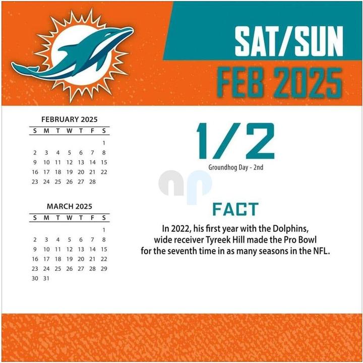Label énergétique NFL - Miami Dolphins - Calendrier de bureau 2025 (Espagnol, Italien, Anglais, Allemand, Français)