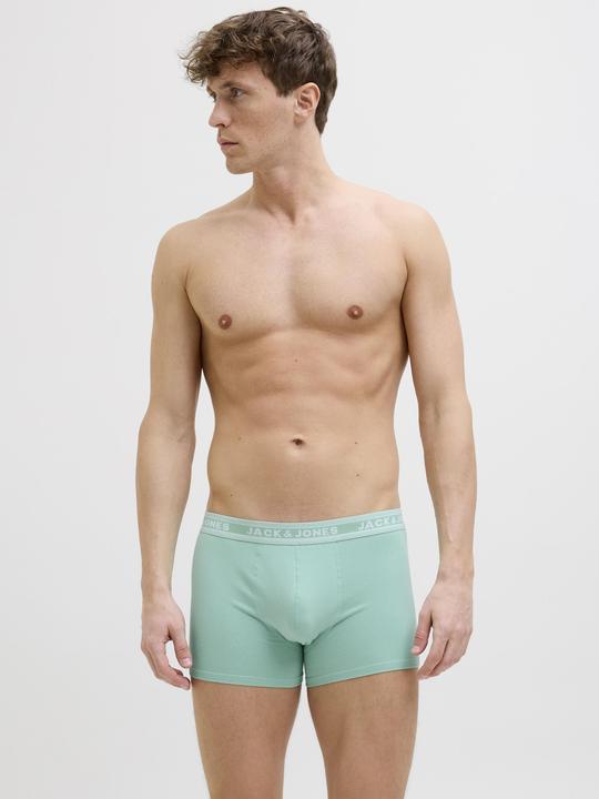 Actual product image Jack & Jones 5er-pack Shorts Shorts (S, 5-pack)