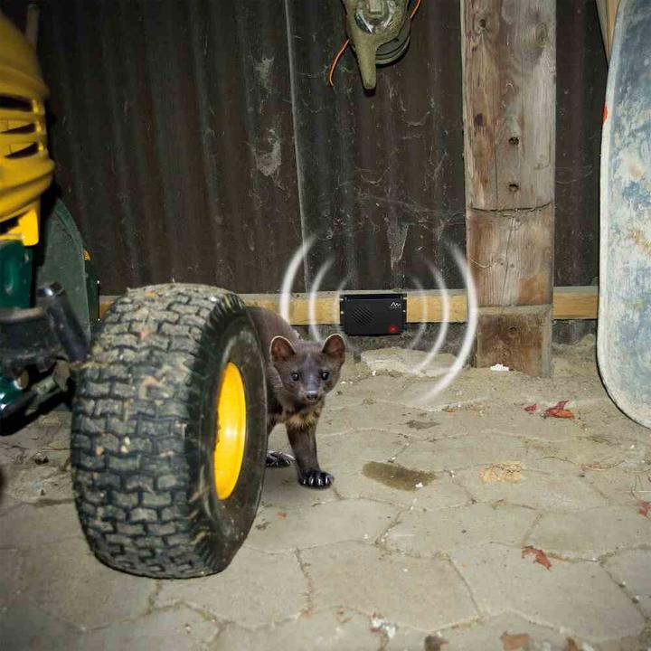 Produktbild Gardigo Marder Frei Mobil