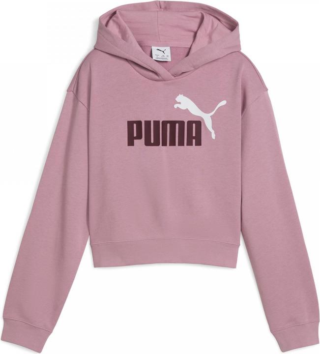Immagine prodotto Puma ESS 2 COLOR No. 1 Logo Felpa con cappuccio corta TR G (152)